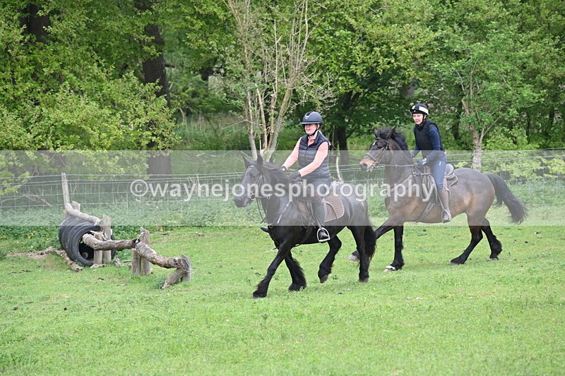 WJ6_2664 - A camera