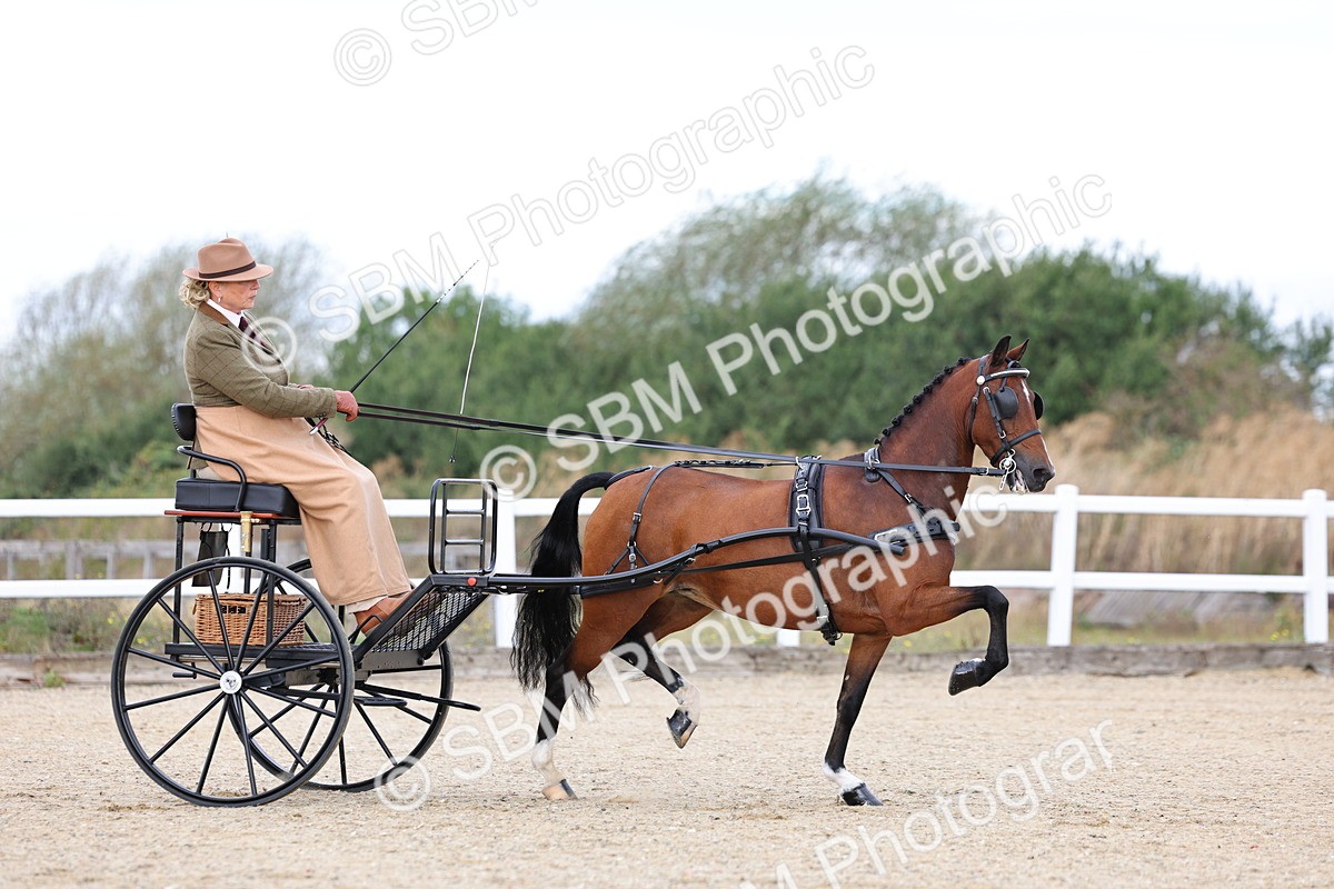 SBM_000270 - Class 2 - Exercise Vehicle 13.2hh & Under