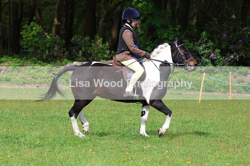 3E7A2626 - Working Hunter Championship
