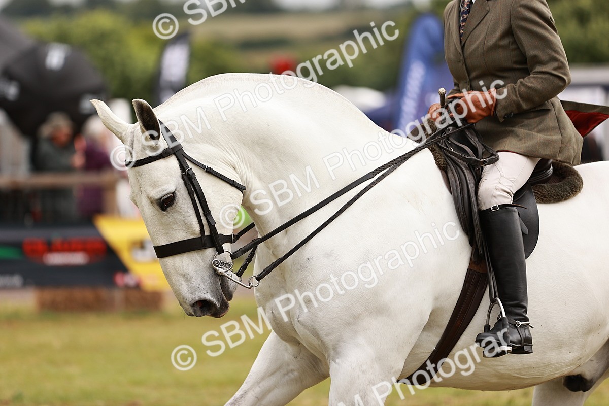 SBM_13012 - Class 85-87 - RIHS Cobs