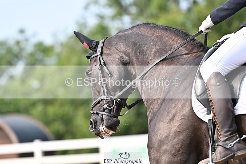 250816-150434-05526 - 145-Caroline.SquireViva.Venezuela