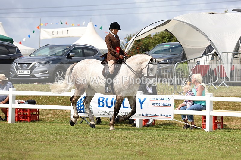 3E7A0498 - Rising Star Ridden Championship