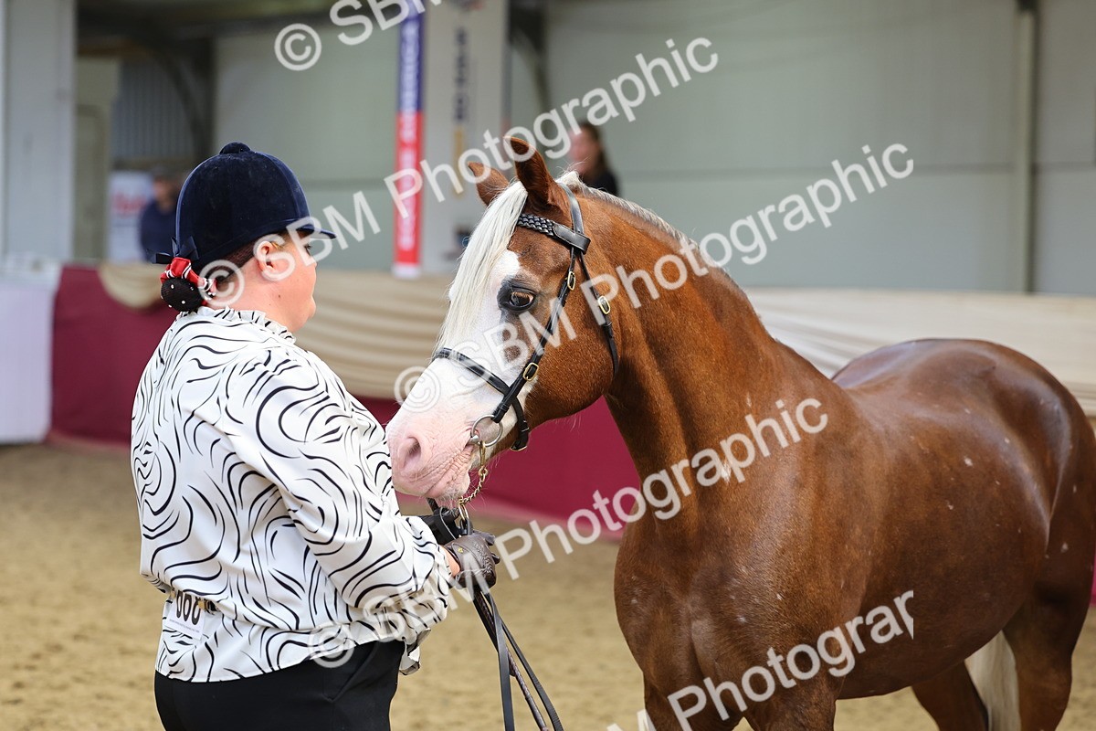 SBM_22903 - Class 903 - Supreme Final - IH Pre Vet