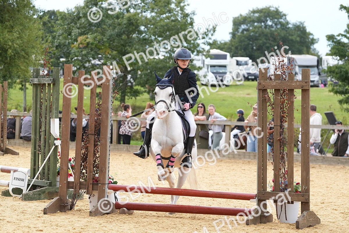 SBM_70625 - J3 - Mini Tour Junior Pony 40cm Championship