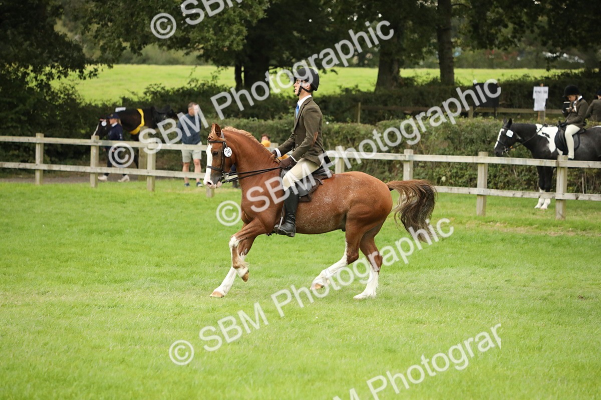 SBM_73788 - S41 - Ridden Equitation (Best Rider)