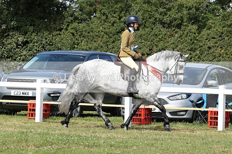 JPP_1048 - Best Rider Championship