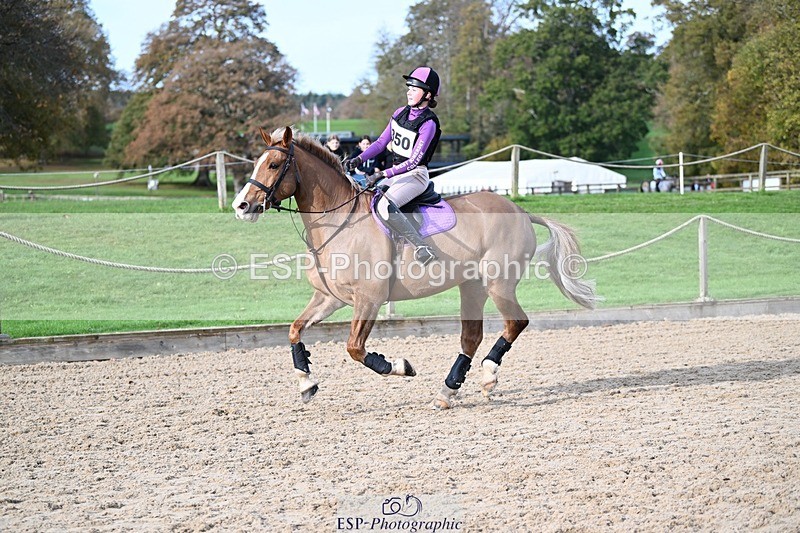 241117-111512-03474 - Cls 2 80-85cm 10.20 to 11.20