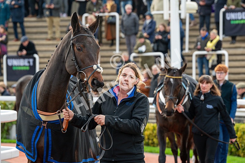 161125-Race 1-Ribba Hill-1110 - Race 1