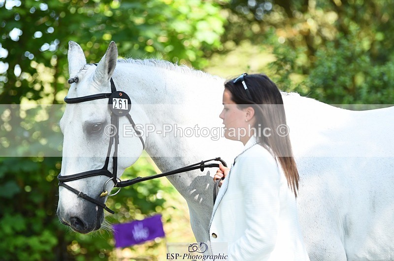 230524-161546-00804 - 261-COOLEY_NOW_OR_NEVER-Georgina_Herrling-WEDTrotUp+DR