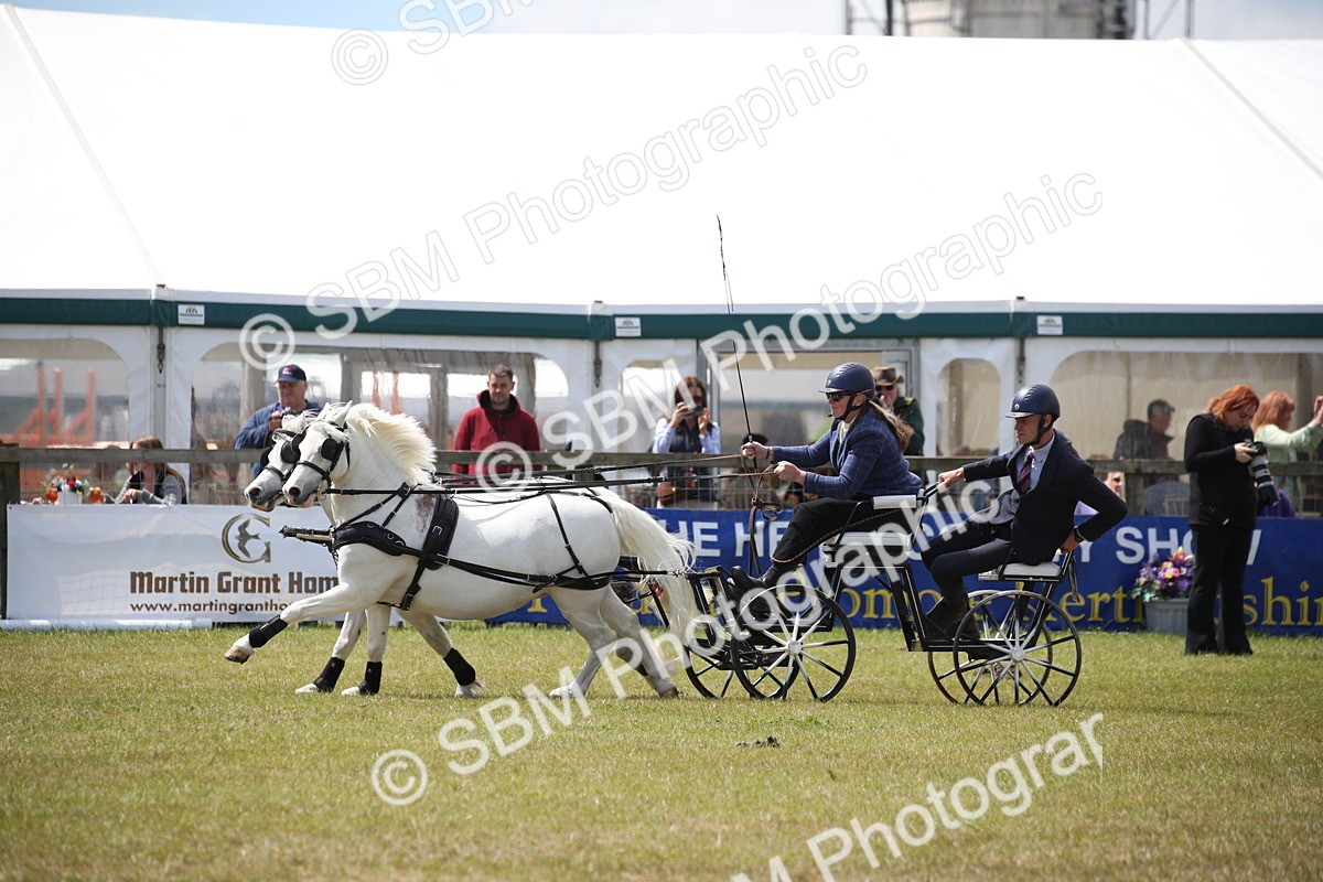 SBM_15382 - Class 90 - Scurry 122cm and Under