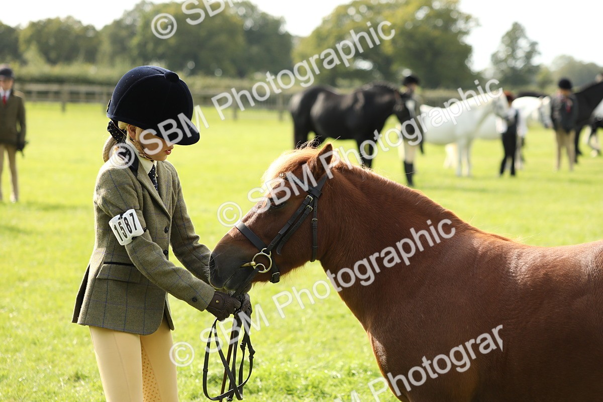 SBM_68649 - S40 - Junior Handler 9-12 Years
