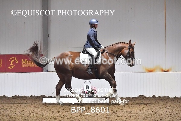 BPP_8601 - NOVICE 4 BD