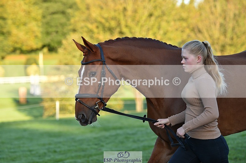 231022-084844-21375 - 643-MIH.TOPGUN-Ellie.Nicholson-TrotUp+SJ
