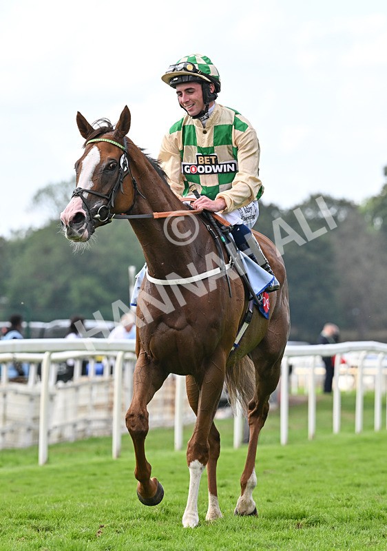 220826-146 Daiquiri Bay - Race 4 15.35pm Sky Bet Ebor Handicap