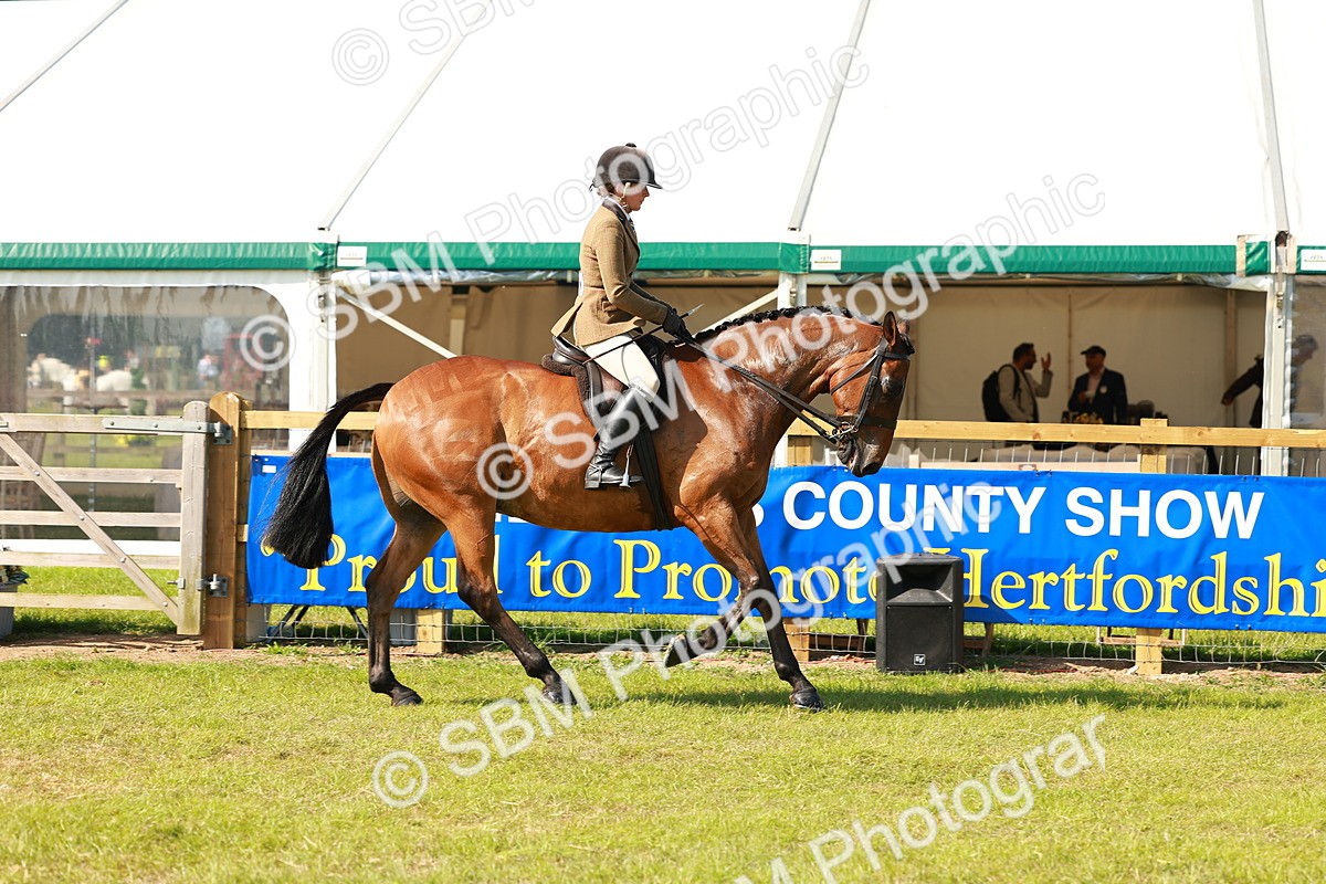 SBM_12037 - Class 66-69 - RIHS Ridden Hunters Inc Small Hunter