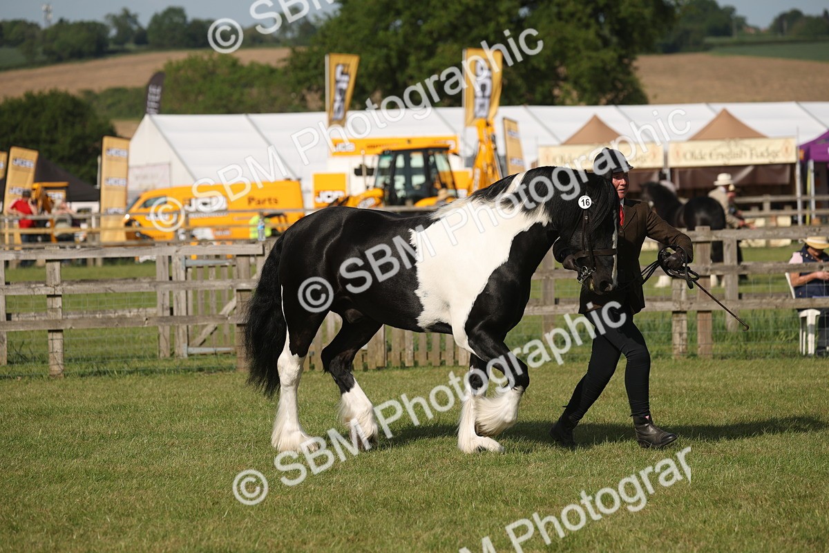 SBM_10369 - Class 33-38 - SSADL RIHS Qualifiers