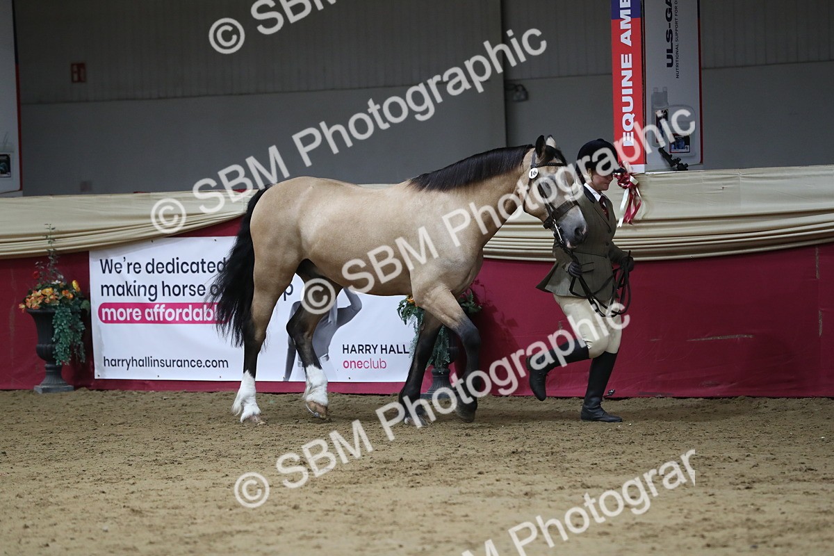 SBM_06313 - Class 9R Regional- IH Pre Vet