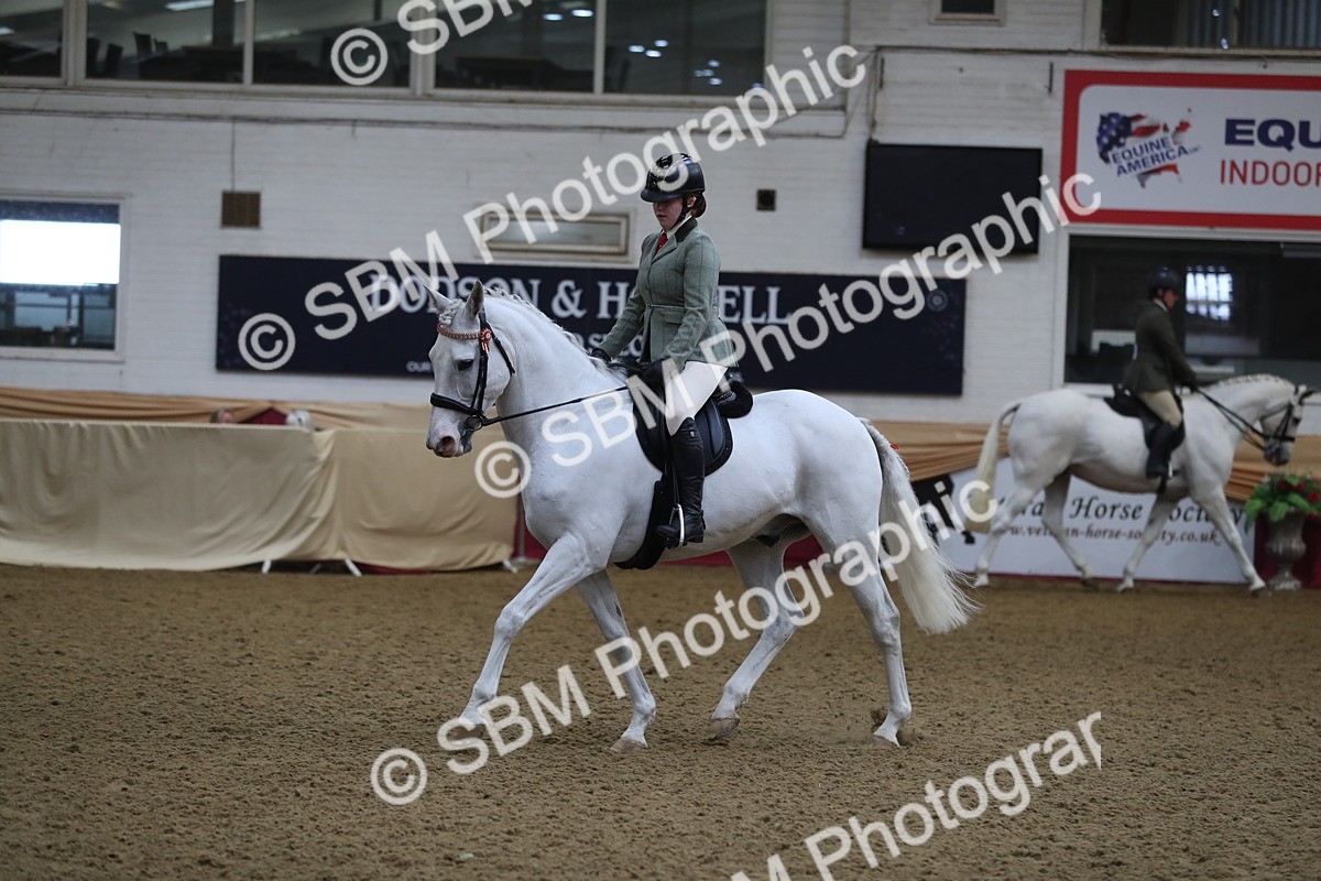 SBM_10401 - Class 102 Equitation (best rider) Adult