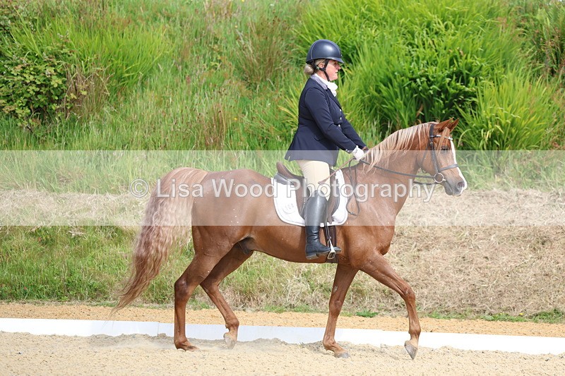 3E7A1154 - Class 1: Intro 2 2024 Section A