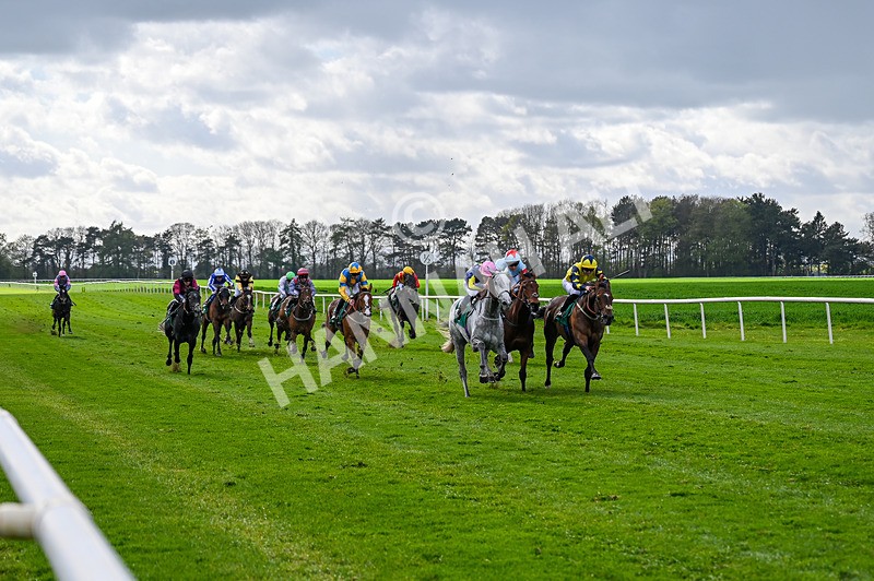 180426-Race 6-Minhad-2683 - Race 6