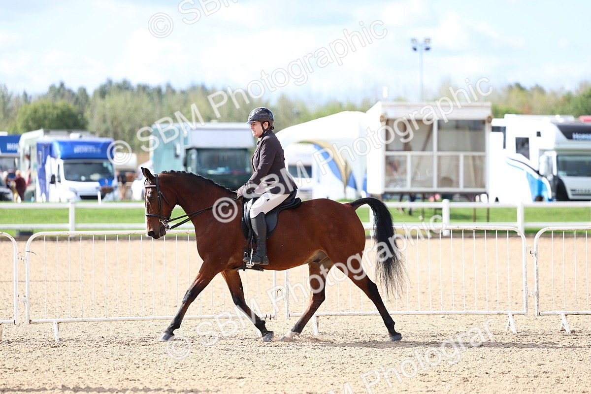 SBM_10773 - Class 305 - Ridden Foreign Breeds - Pure Bred