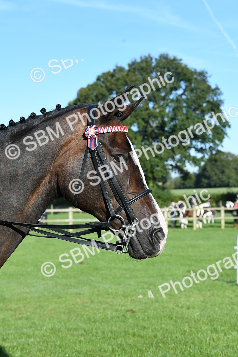 SBM_34050 - S16 - Condition & Turnout - Ridden