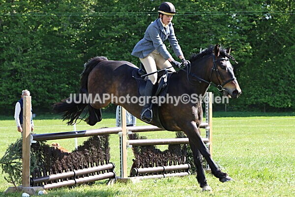 IMG_4782 - Working Hunter
