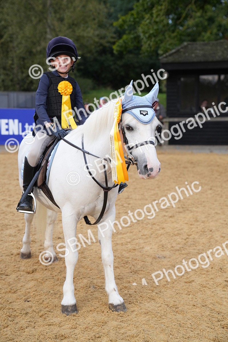 SBM_74940 - J4 - Mini Tour Junior Pony 45cm Championship