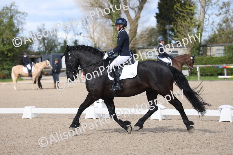 20260405-0343 - Class 4 - Novice 6