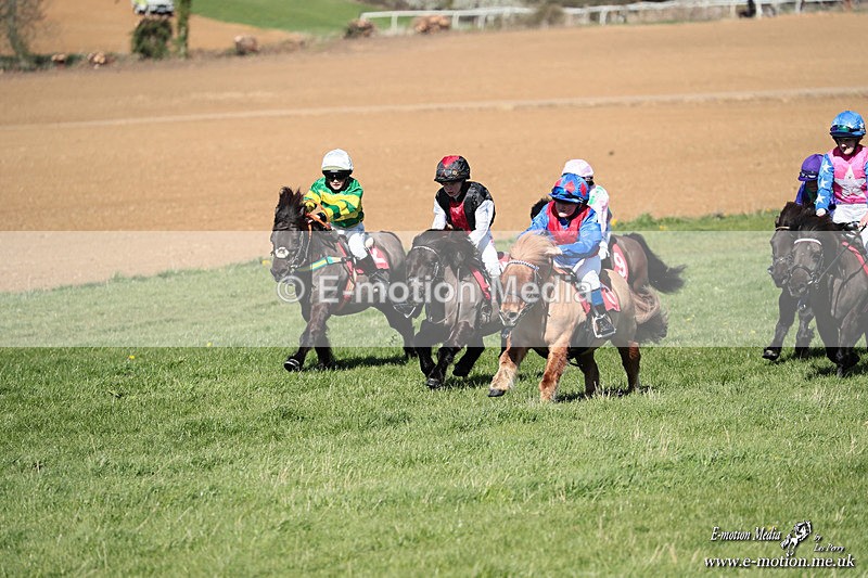 Shet 060426 269 - Shetland Pony Racing Paxford Races Easter Mon 06/04/26