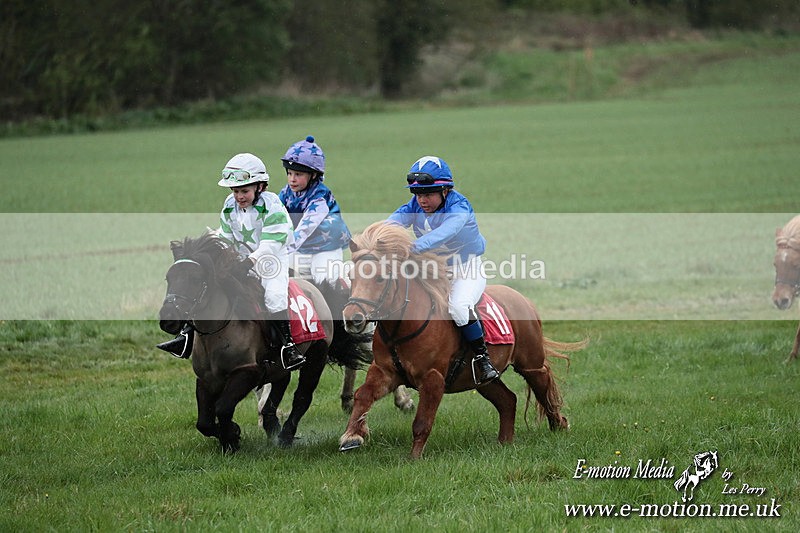 SHETPR 210425 182 - Shetland Ponies Paxford Races 21/04/25