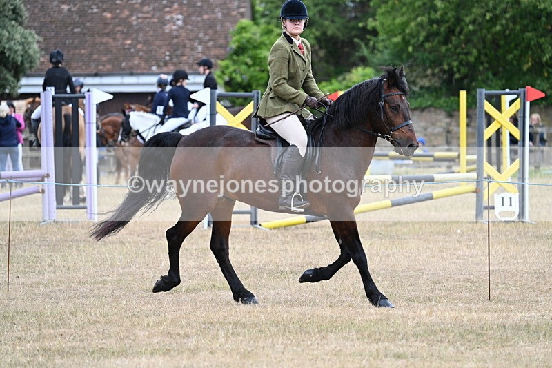 WJ7_0613 - Class 6 Ridden Mountain and Moorland