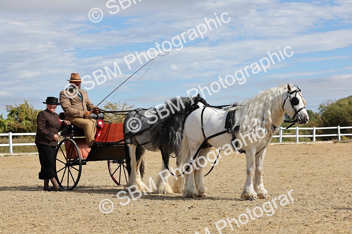 SBM_001247 - Class 16 - Pairs ,Multiples and Tandems