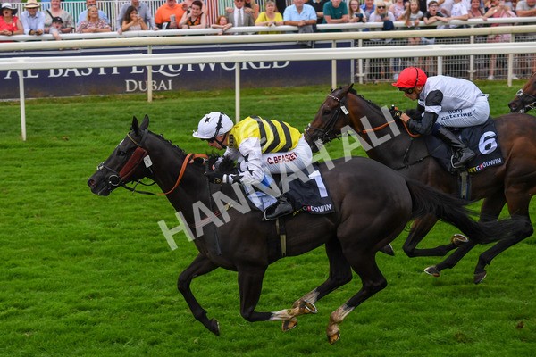 100923-Race 5-Commanche Falls-0895 - Race 5 3.50pm BetGoodwin Garrowby Stakes