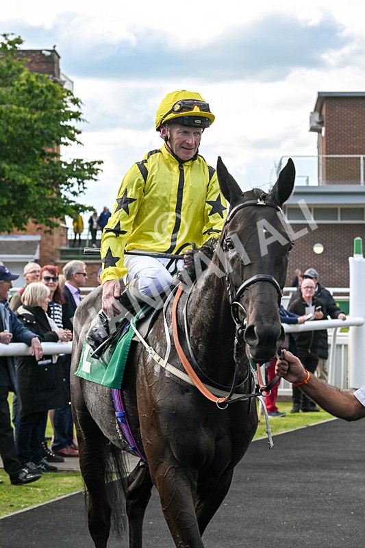 160624-Race 4-Align The Stars-8884 - Race 4