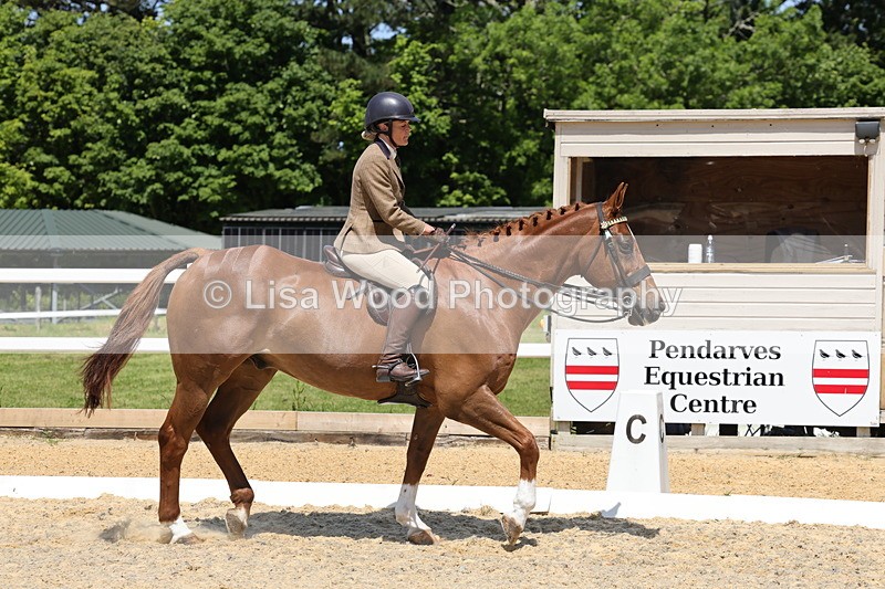1X9A1820 - Class 12: Ridden Riding Horse/Hack