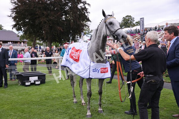 yr17082022r5-63 - Race 5 4.10pm Sky Bet Stayers Stakes