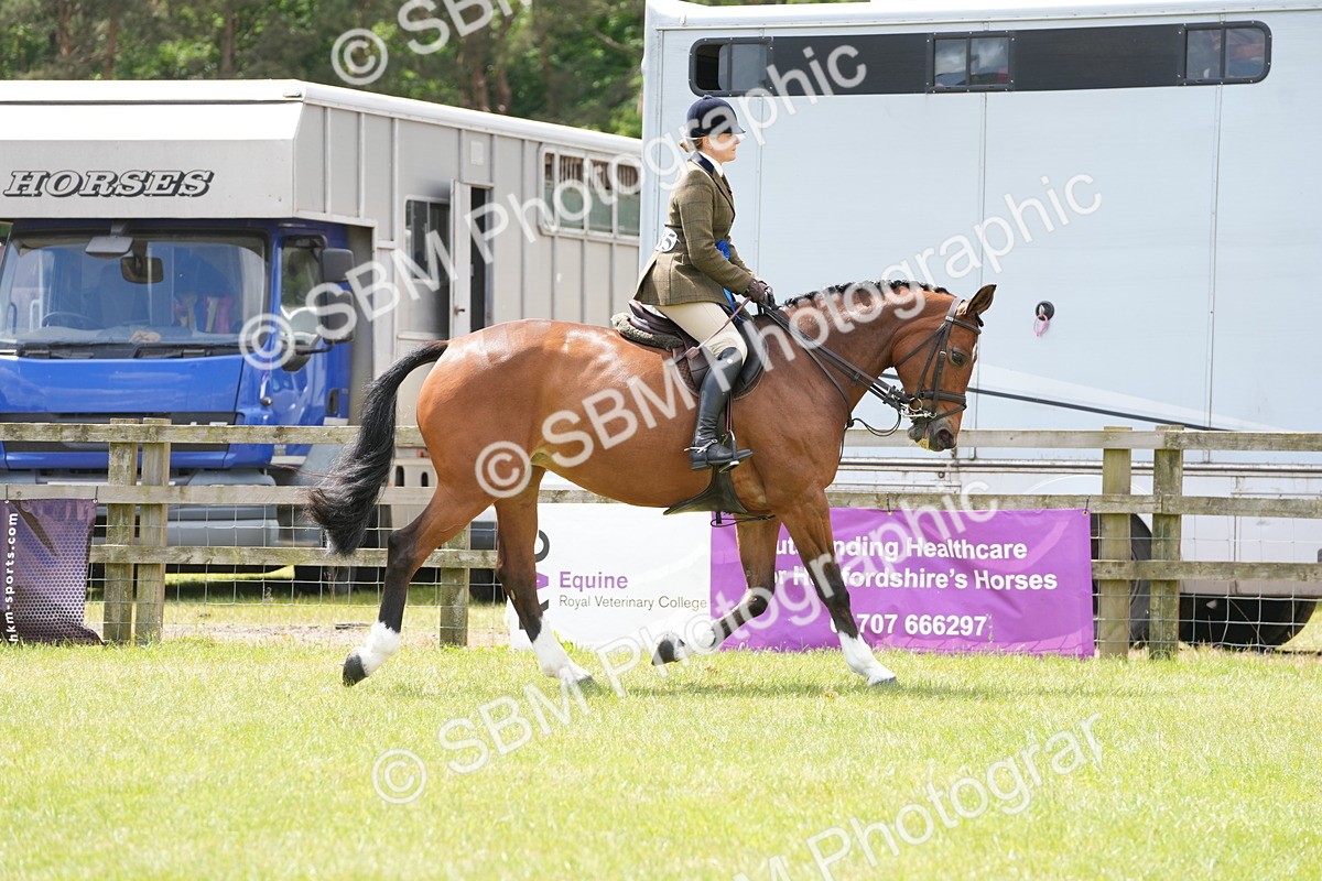 SBM_00001 - Class 100-102 - RIHS Working Hunter