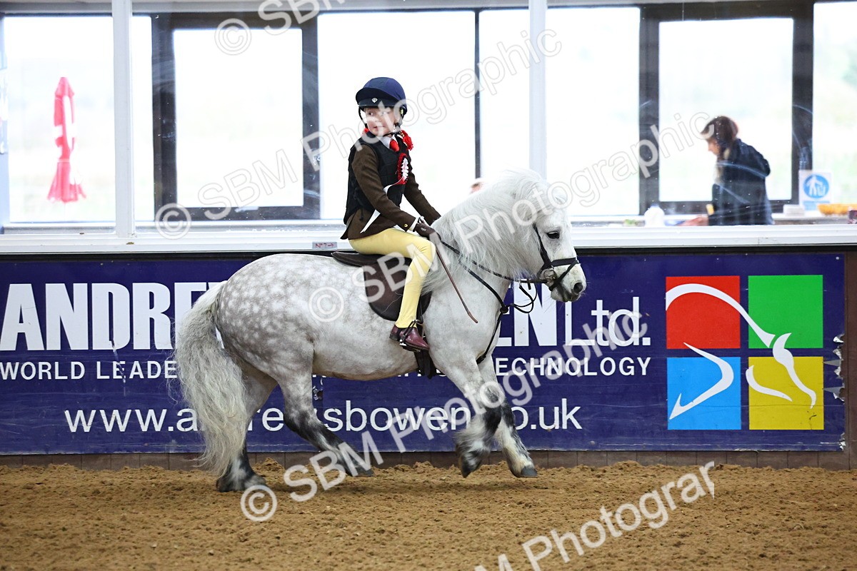 SBM_003217 - Class 35 - 60cm Training Stakes