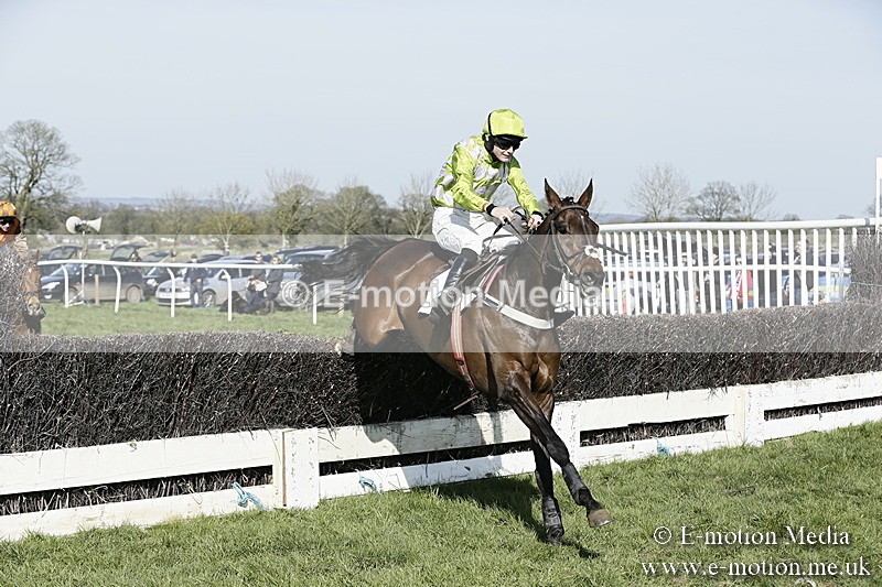 PtP 260317 284 - Mendip Farmers Point-to-Point Ston Easton 26/03/17