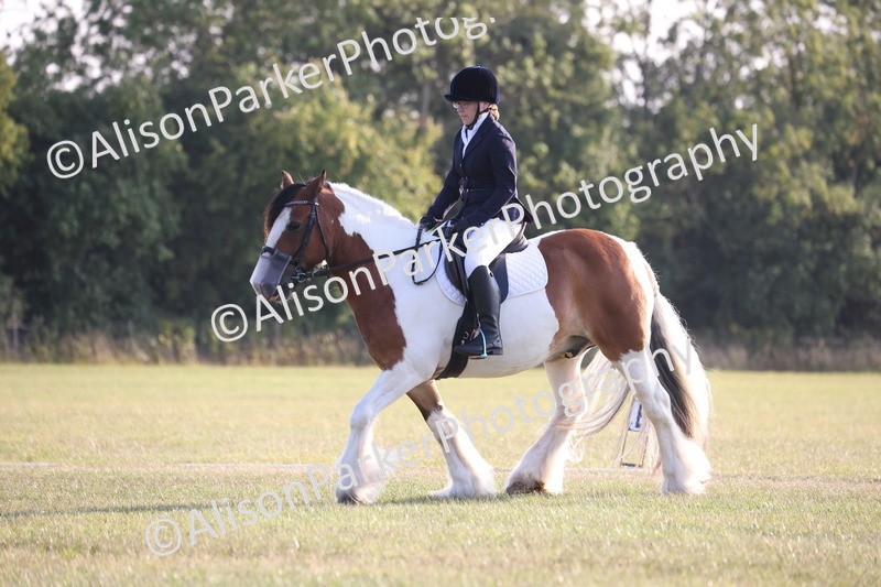 20250731-0811 - Class 1 - Intro 4