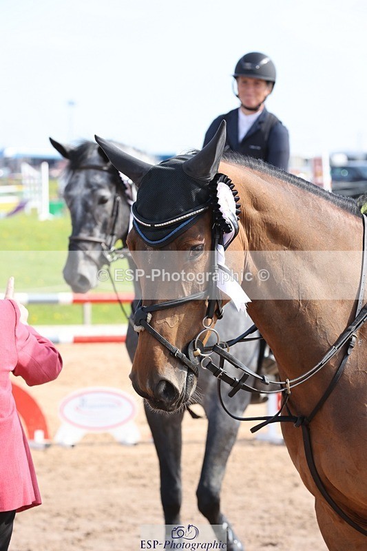 250427-102820-15346 - Cls 32 Young Horse 6yr old