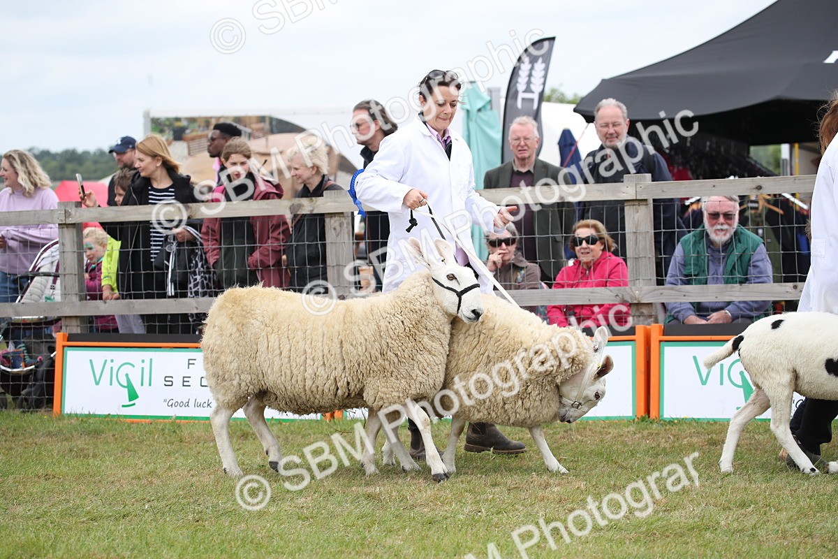 SBM_07789 - Grand Parade
