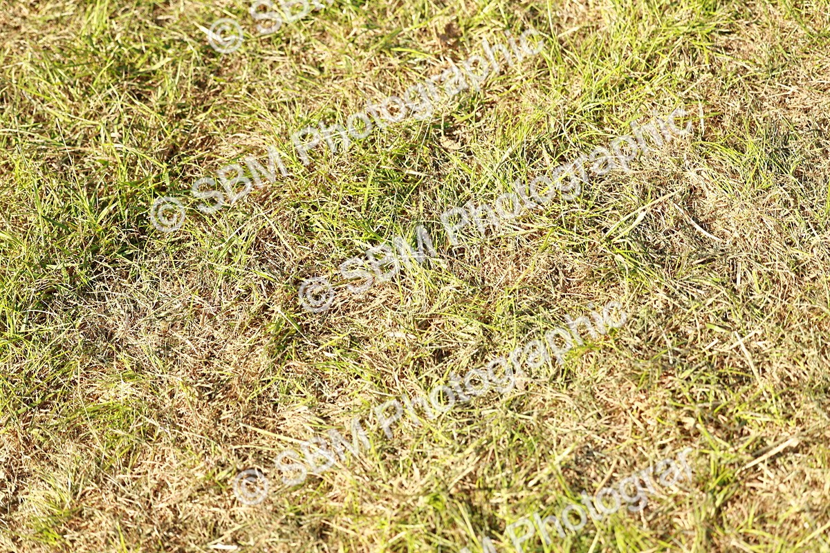 SBM_11869