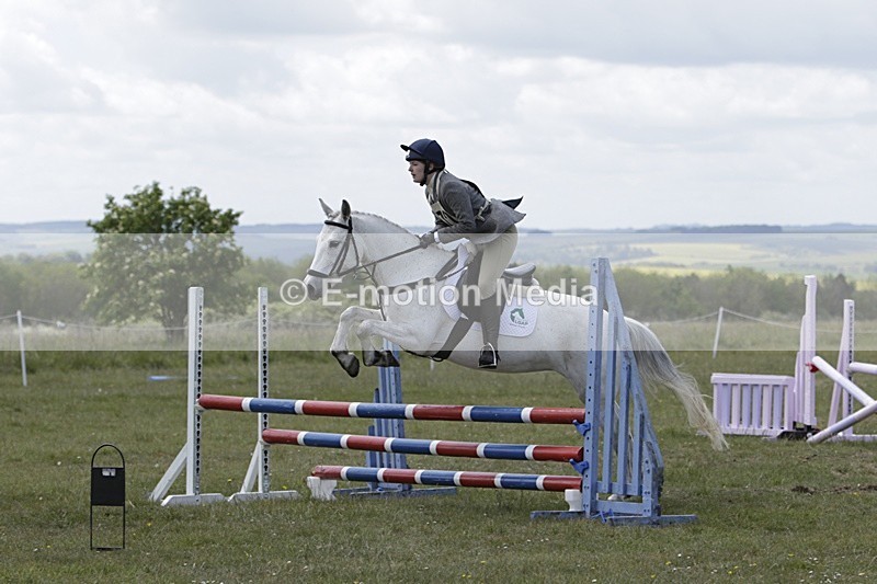 BVHT 140517 N-313 - Class 2 SJ Novice 14/05/17