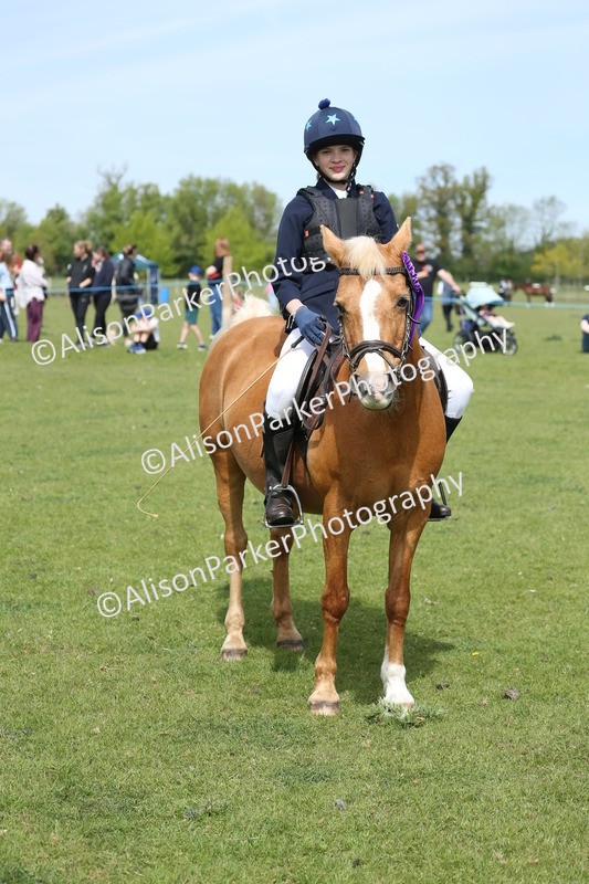 20260426-1814 - Class 14 - Novice 60cm