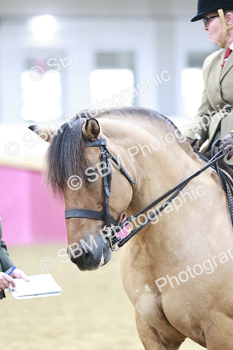 SBM_08096 - Class 11R - Regional Ridden Veteran
