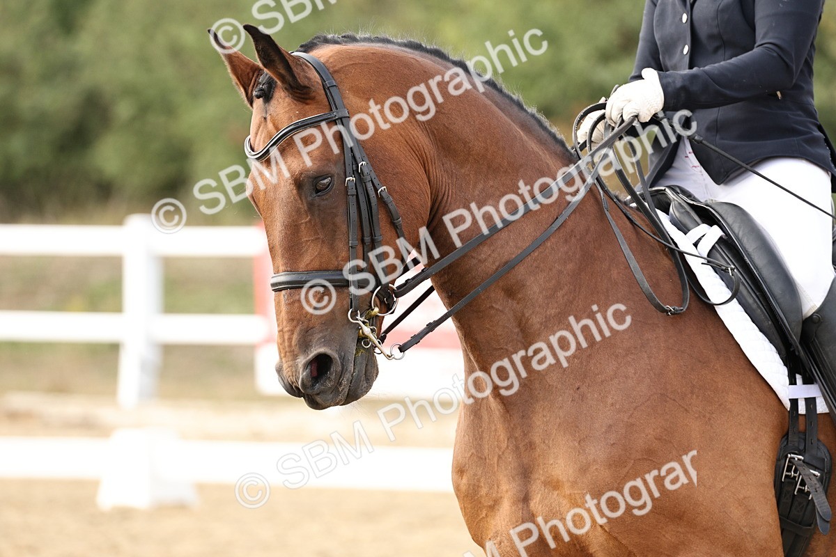 SBM_016309 - Class 10 - Advanced Medium 5