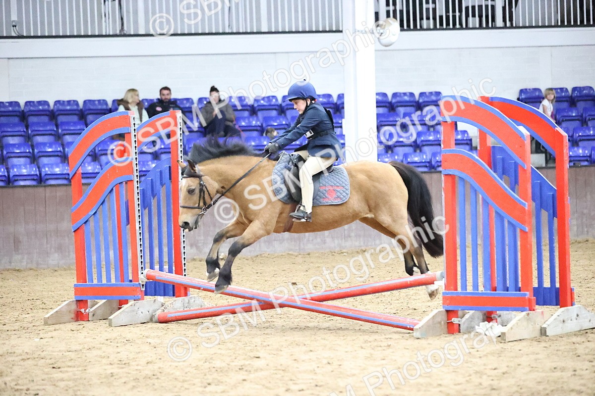 SBM_000288 - Class 2 - The Rug Lady 40cm