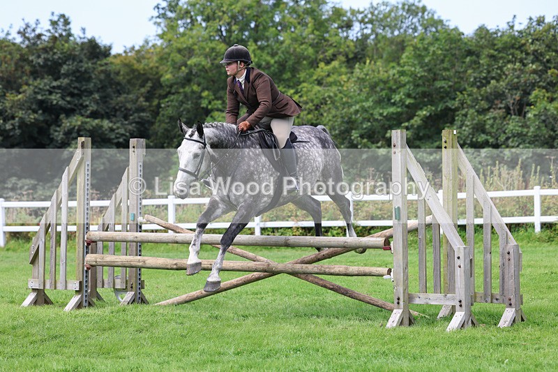 3E7A8856 - Class 6: Open Working Horse